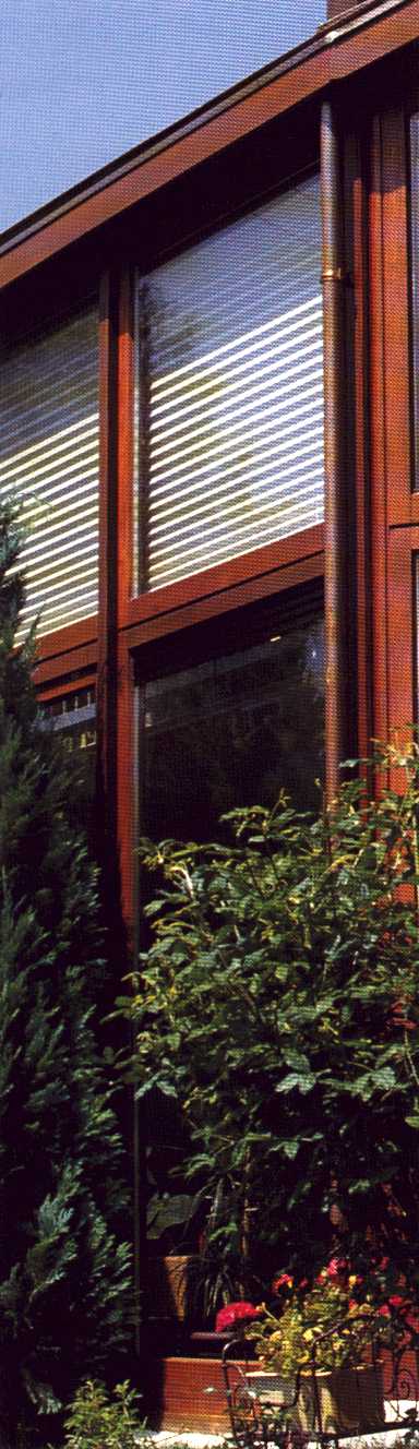 fws06b01.jpg (81248 Byte)