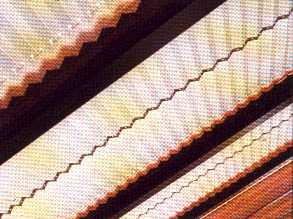 fws06b02.jpg (13978 Byte)